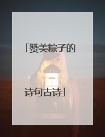 赞美粽子的诗句古诗