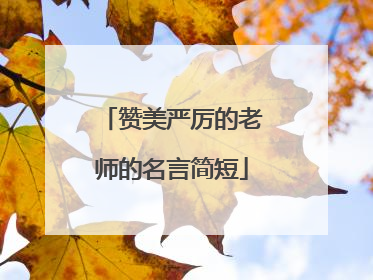 赞美严厉的老师的名言简短