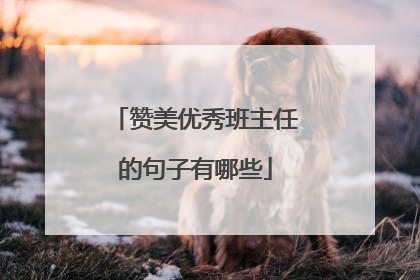 赞美优秀班主任的句子有哪些