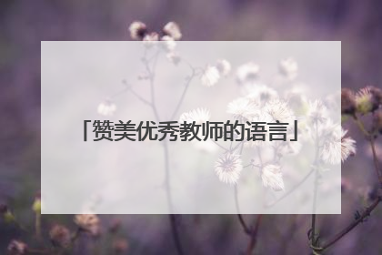 赞美优秀教师的语言