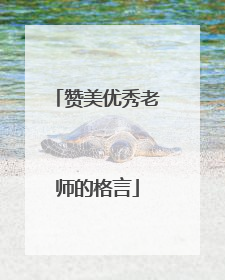 赞美优秀老师的格言