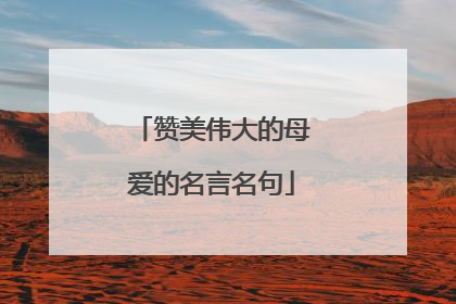 赞美伟大的母爱的名言名句