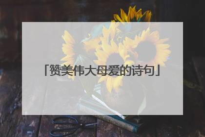 赞美伟大母爱的诗句