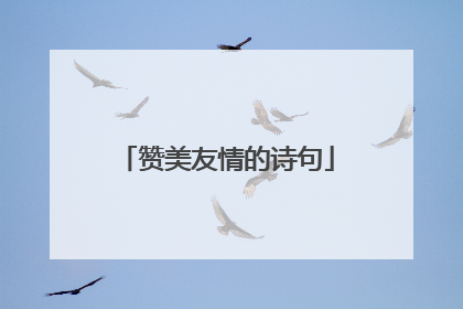 赞美友情的诗句