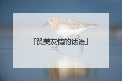 赞美友情的话语