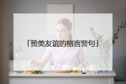 赞美友谊的格言警句