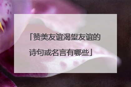 赞美友谊渴望友谊的诗句或名言有哪些