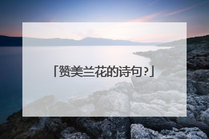 赞美兰花的诗句?