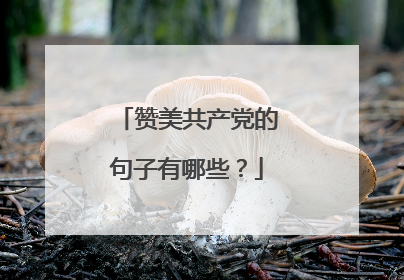 赞美共产党的句子有哪些？