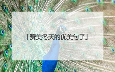 赞美冬天的优美句子