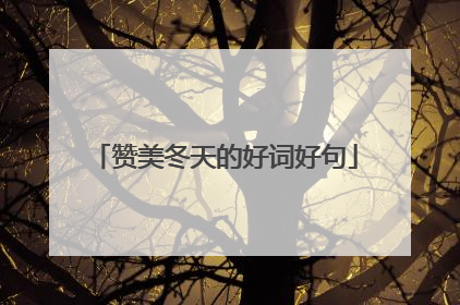 赞美冬天的好词好句