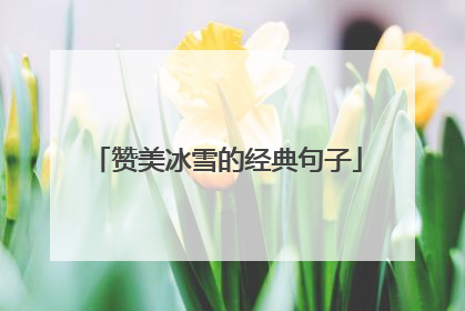 赞美冰雪的经典句子