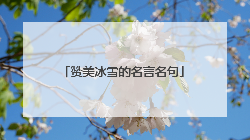 赞美冰雪的名言名句
