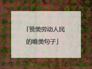 赞美劳动人民的唯美句子
