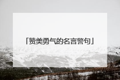 赞美勇气的名言警句