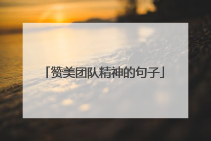 赞美团队精神的句子