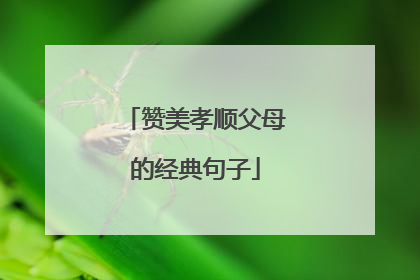 赞美孝顺父母的经典句子