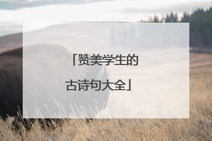 赞美学生的古诗句大全