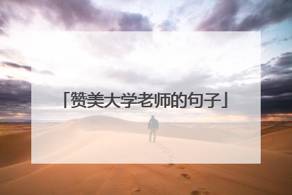 赞美大学老师的句子