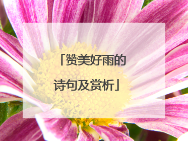 赞美好雨的诗句及赏析