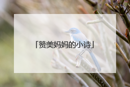 赞美妈妈的小诗
