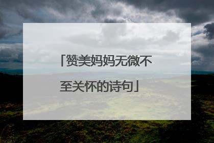 赞美妈妈无微不至关怀的诗句