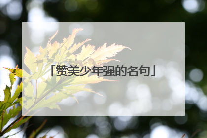 赞美少年强的名句