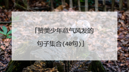 赞美少年意气风发的句子集合(40句)
