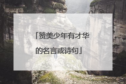 赞美少年有才华的名言或诗句