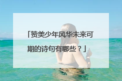 赞美少年风华未来可期的诗句有哪些?