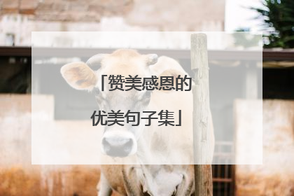 赞美感恩的优美句子集