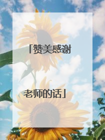 赞美感谢老师的话