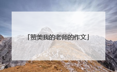 赞美我的老师的作文