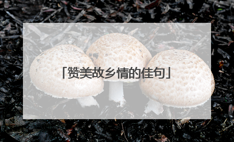 赞美故乡情的佳句