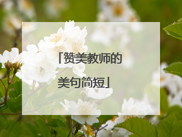 赞美教师的美句简短