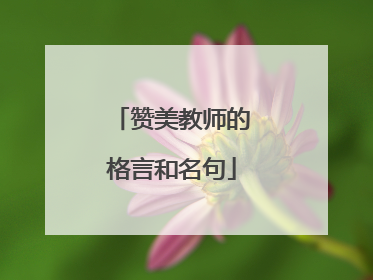 赞美教师的格言和名句