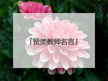 赞美教师名言