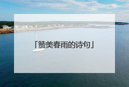 赞美春雨的诗句