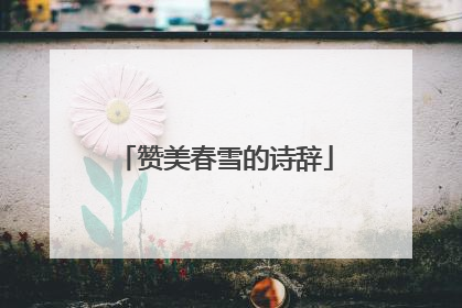 赞美春雪的诗辞