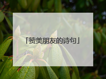 赞美朋友的诗句