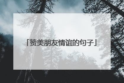 赞美朋友情谊的句子