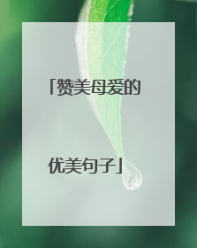 赞美母爱的优美句子