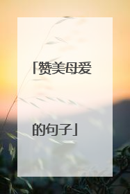 赞美母爱的句子