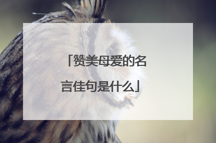 赞美母爱的名言佳句是什么