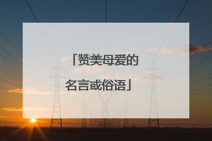 赞美母爱的名言或俗语