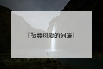 赞美母爱的词语