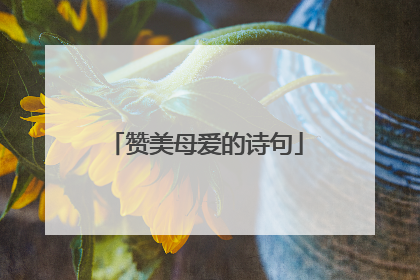 赞美母爱的诗句