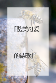 赞美母爱的诗歌