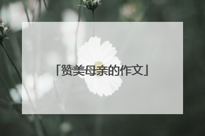 赞美母亲的作文