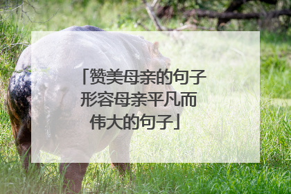 赞美母亲的句子 形容母亲平凡而伟大的句子